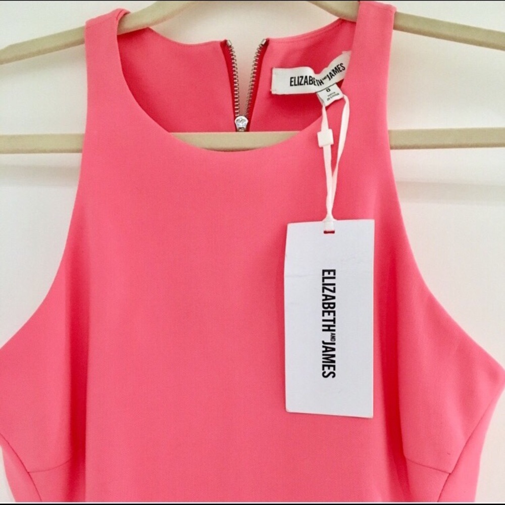 NWT Elizabeth and James Party Dress